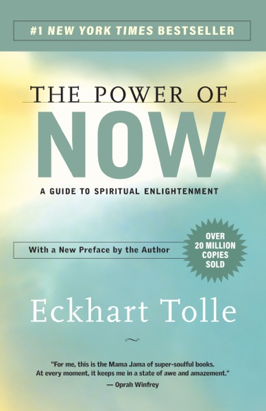 The Power of Now cover
