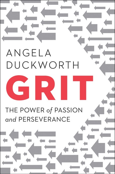 Grit cover